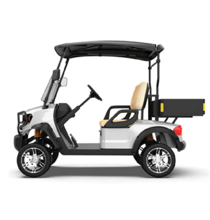 22.01.2025_18.45.30_REC_1024x1024@2x Eco Luxury Golf Cart with 02 seat Short Cargo - Image 1
