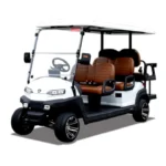 Eco Luxury Golf Cart 6,8 Seater