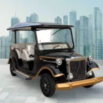 Vintage Royal Classic Golf Cart -6 Seater Electric
