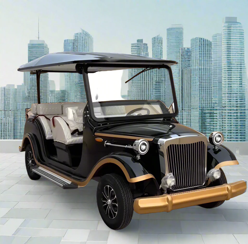 27.08.2025_10.43.05_REC_1024x1024@2x Vintage Royal Classic Golf Cart -6 Seater Electric - Image 1